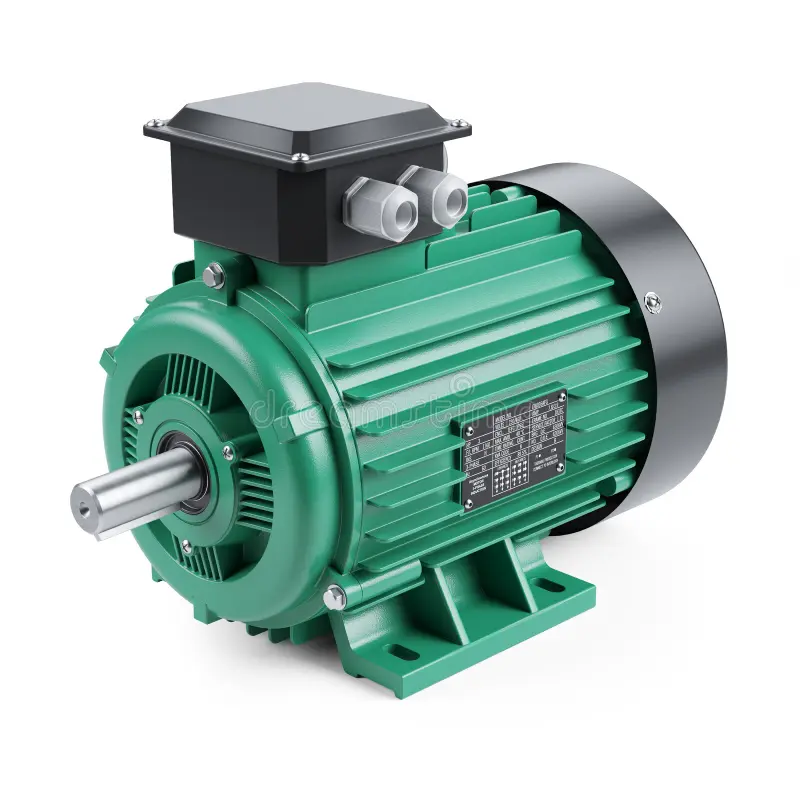 INDUCTION MOTOR